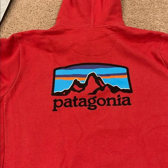 Patagonia Hoodie - Picture 5 of 5
